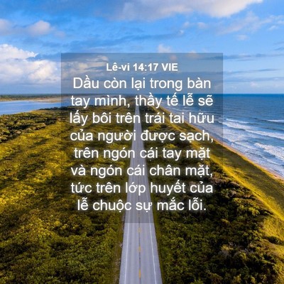 Picture 04 - Lê-vi 14:17 VIE - Dầu còn lại trong bàn tay mình, thầy - Bible Verse Picture