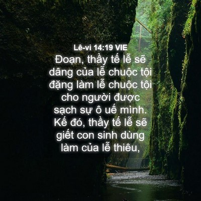 Picture 04 - Lê-vi 14:19 VIE - Đoạn, thầy tế lễ sẽ dâng của lễ - Bible Verse Picture