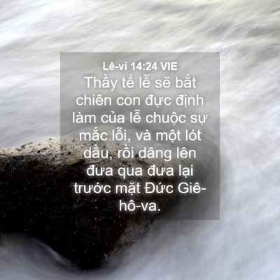 Picture 04 - Lê-vi 14:24 VIE - Thầy tế lễ sẽ bắt chiên con đực - Bible Verse Picture