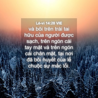 Picture 04 - Lê-vi 14:28 VIE - và bôi trên trái tai hữu của người - Bible Verse Picture