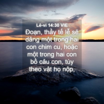 Picture 04 - Lê-vi 14:30 VIE - Đoạn, thầy tế lễ sẽ dâng một trong - Bible Verse Picture