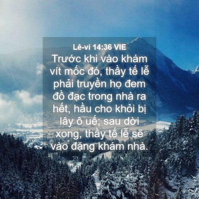 Picture 04 - Lê-vi 14:36 VIE - Trước khi vào khám vít mốc đó, thầy - Bible Verse Picture