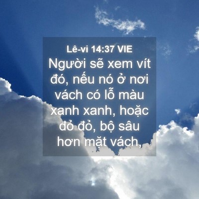 Picture 04 - Lê-vi 14:37 VIE - Người sẽ xem vít đó, nếu nó ở nơi - Bible Verse Picture