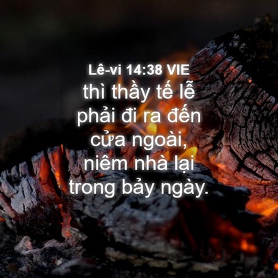 Picture 04 - Lê-vi 14:38 VIE - thì thầy tế lễ phải đi ra đến cửa - Bible Verse Picture