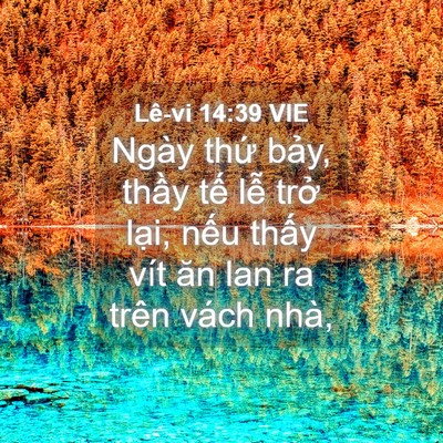 Picture 04 - Lê-vi 14:39 VIE - Ngày thứ bảy, thầy tế lễ trở lại, - Bible Verse Picture