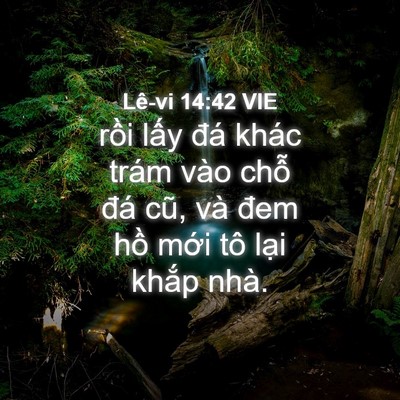 Picture 04 - Lê-vi 14:42 VIE - rồi lấy đá khác trám vào chỗ đá cũ, - Bible Verse Picture