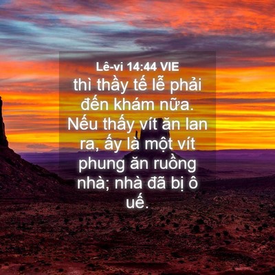 Picture 04 - Lê-vi 14:44 VIE - thì thầy tế lễ phải đến khám nữa. - Bible Verse Picture