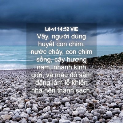 Picture 04 - Lê-vi 14:52 VIE - Vậy, người dùng huyết con chim, nước - Bible Verse Picture