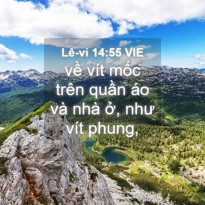 Picture 04 - Lê-vi 14:55 VIE - về vít mốc trên quần áo và nhà ở, - Bible Verse Picture