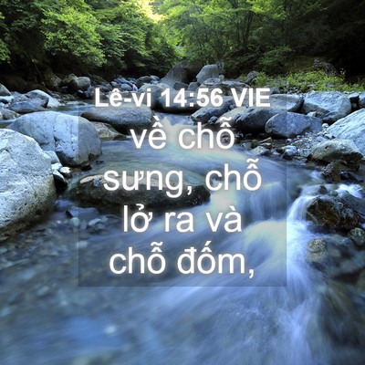 Picture 04 - Lê-vi 14:56 VIE - về chỗ sưng, chỗ lở ra và chỗ - Bible Verse Picture