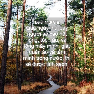Picture 04 - Lê-vi 14:9 VIE - Qua ngày thứ bảy người sẽ cạo hết - Bible Verse Picture