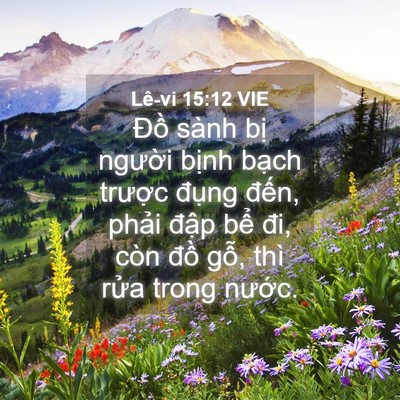 Picture 04 - Lê-vi 15:12 VIE - Đồ sành bị người bịnh bạch trược - Bible Verse Picture