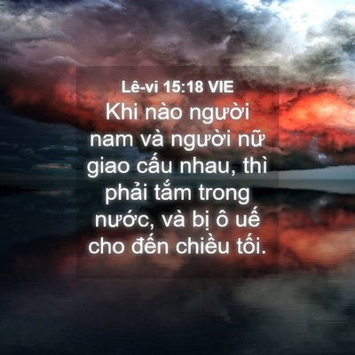 Picture 04 - Lê-vi 15:18 VIE - Khi nào người nam và người nữ giao - Bible Verse Picture