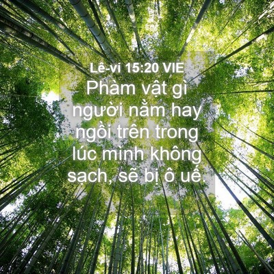 Picture 04 - Lê-vi 15:20 VIE - Phàm vật gì người nằm hay ngồi trên - Bible Verse Picture
