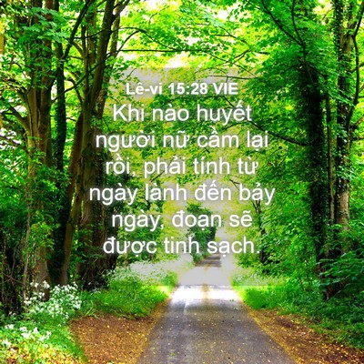 Picture 04 - Lê-vi 15:28 VIE - Khi nào huyết người nữ cầm lại rồi, - Bible Verse Picture