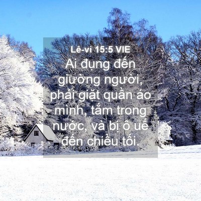 Picture 04 - Lê-vi 15:5 VIE - Ai đụng đến giường người, phải - Bible Verse Picture