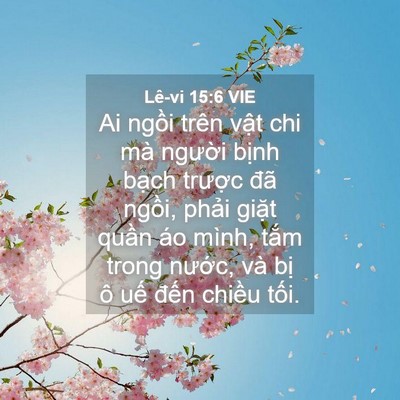 Picture 04 - Lê-vi 15:6 VIE - Ai ngồi trên vật chi mà người bịnh - Bible Verse Picture