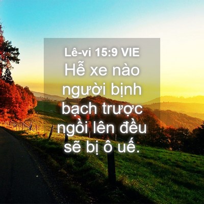 Picture 04 - Lê-vi 15:9 VIE - Hễ xe nào người bịnh bạch trược - Bible Verse Picture