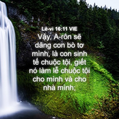 Picture 04 - Lê-vi 16:11 VIE - Vậy, A-rôn sẽ dâng con bò tơ mình, là - Bible Verse Picture