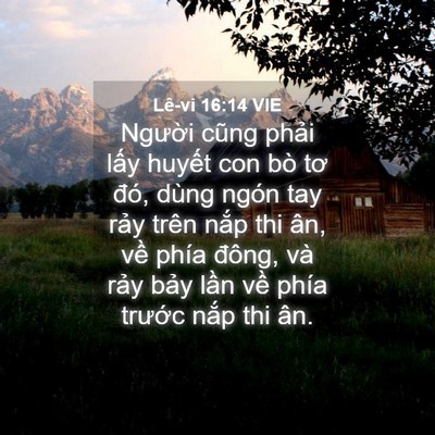Picture 04 - Lê-vi 16:14 VIE - Người cũng phải lấy huyết con bò tơ - Bible Verse Picture