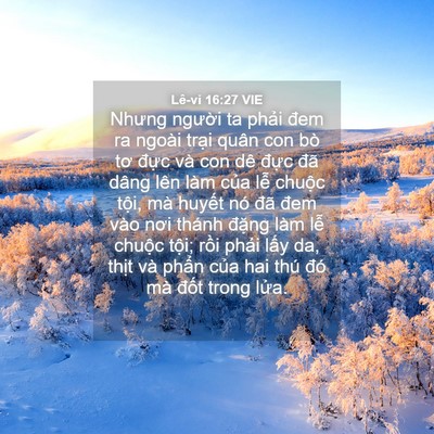 Picture 04 - Lê-vi 16:27 VIE - Nhưng người ta phải đem ra ngoài trại - Bible Verse Picture
