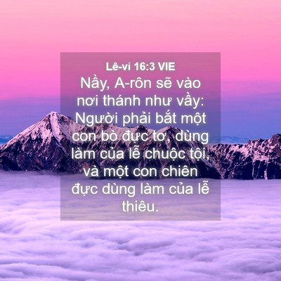 Picture 04 - Lê-vi 16:3 VIE - Nầy, A-rôn sẽ vào nơi thánh như vầy: - Bible Verse Picture