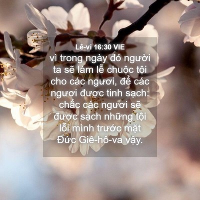 Picture 04 - Lê-vi 16:30 VIE - vì trong ngày đó người ta sẽ làm lễ - Bible Verse Picture