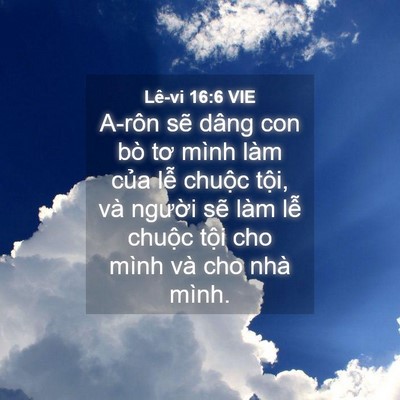 Picture 04 - Lê-vi 16:6 VIE - A-rôn sẽ dâng con bò tơ mình làm của - Bible Verse Picture