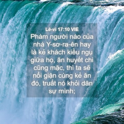 Picture 04 - Lê-vi 17:10 VIE - Phàm người nào của nhà Y-sơ-ra-ên hay - Bible Verse Picture