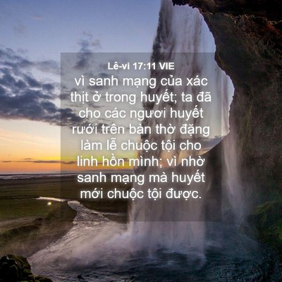Picture 04 - Lê-vi 17:11 VIE - vì sanh mạng của xác thịt ở trong - Bible Verse Picture