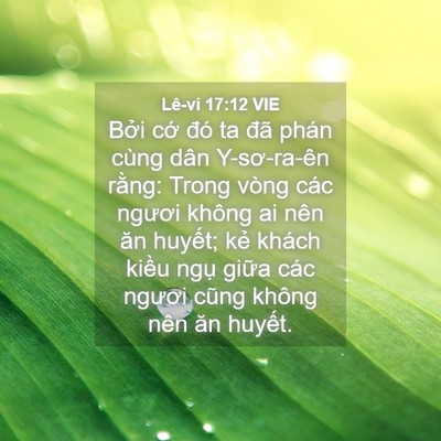 Picture 04 - Lê-vi 17:12 VIE - Bởi cớ đó ta đã phán cùng dân - Bible Verse Picture