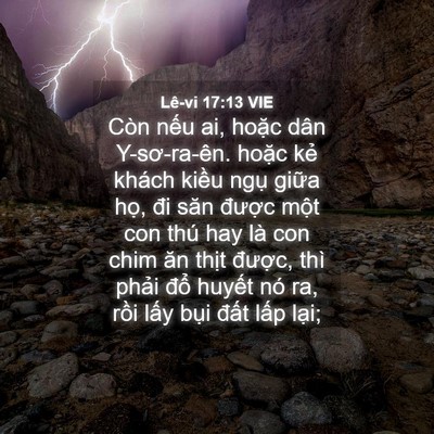 Picture 04 - Lê-vi 17:13 VIE - Còn nếu ai, hoặc dân Y-sơ-ra-ên. hoặc - Bible Verse Picture