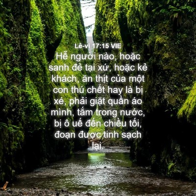 Picture 04 - Lê-vi 17:15 VIE - Hễ người nào, hoặc sanh đẻ tại xứ, - Bible Verse Picture