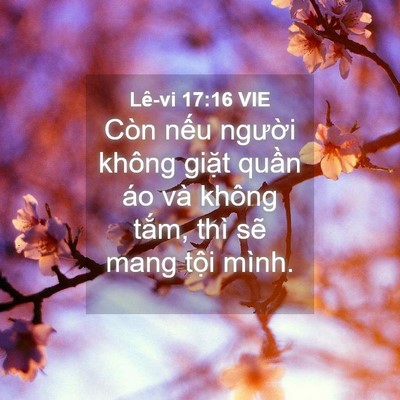 Picture 04 - Lê-vi 17:16 VIE - Còn nếu người không giặt quần áo và - Bible Verse Picture