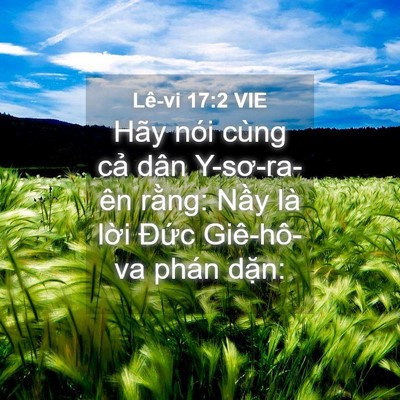 Picture 04 - Lê-vi 17:2 VIE - Hãy nói cùng cả dân Y-sơ-ra-ên rằng: - Bible Verse Picture