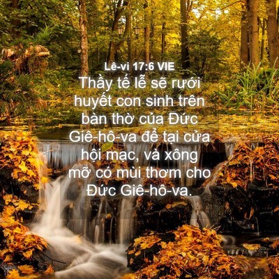 Picture 04 - Lê-vi 17:6 VIE - Thầy tế lễ sẽ rưới huyết con sinh - Bible Verse Picture