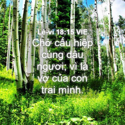 Picture 04 - Lê-vi 18:15 VIE - Chớ cấu hiệp cùng dâu ngươi; vì là - Bible Verse Picture
