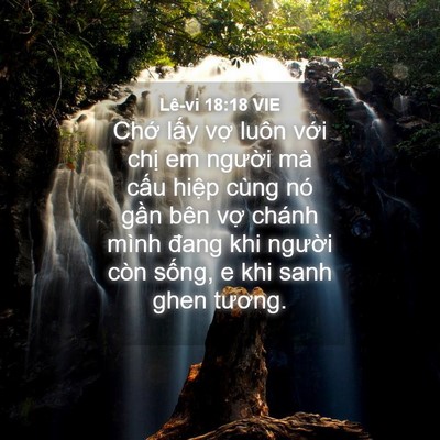 Picture 04 - Lê-vi 18:18 VIE - Chớ lấy vợ luôn với chị em người - Bible Verse Picture
