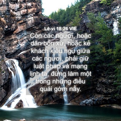 Picture 04 - Lê-vi 18:26 VIE - Còn các ngươi, hoặc dân bổn xứ, hoặc - Bible Verse Picture