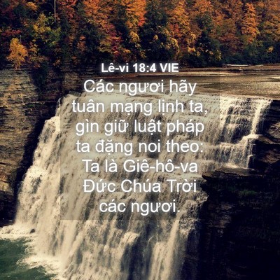 Picture 04 - Lê-vi 18:4 VIE - Các ngươi hãy tuân mạng lịnh ta, gìn - Bible Verse Picture