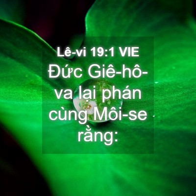 Picture 04 - Lê-vi 19:1 VIE - Đức Giê-hô-va lại phán cùng Môi-se - Bible Verse Picture