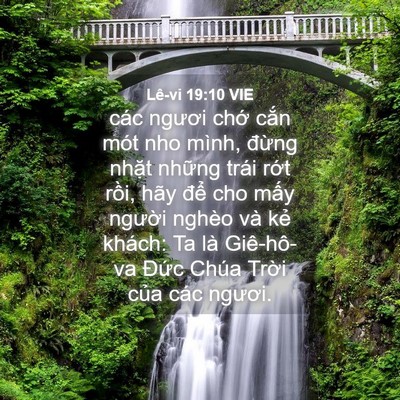 Picture 04 - Lê-vi 19:10 VIE - các ngươi chớ cắn mót nho mình, đừng - Bible Verse Picture