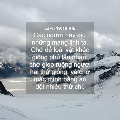 Picture 04 - Lê-vi 19:19 VIE - Các ngươi hãy giữ những mạng lịnh ta. - Bible Verse Picture