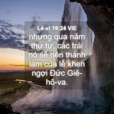 Picture 04 - Lê-vi 19:24 VIE - nhưng qua năm thứ tư, các trái nó sẽ - Bible Verse Picture