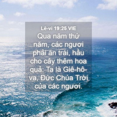 Picture 04 - Lê-vi 19:25 VIE - Qua năm thứ năm, các ngươi phải ăn - Bible Verse Picture