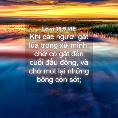 Picture 04 - Lê-vi 19:9 VIE - Khi các ngươi gặt lúa trong xứ mình, - Bible Verse Picture
