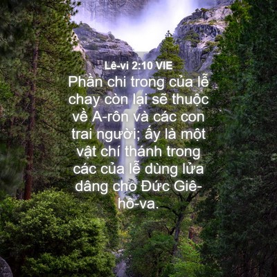 Picture 04 - Lê-vi 2:10 VIE - Phần chi trong của lễ chay còn lại sẽ - Bible Verse Picture
