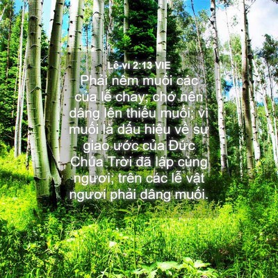 Picture 04 - Lê-vi 2:13 VIE - Phải nêm muối các của lễ chay; chớ - Bible Verse Picture