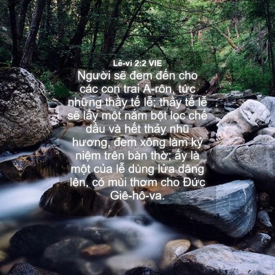 Picture 04 - Lê-vi 2:2 VIE - Người sẽ đem đến cho các con trai - Bible Verse Picture