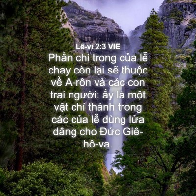 Picture 04 - Lê-vi 2:3 VIE - Phần chi trong của lễ chay còn lại sẽ - Bible Verse Picture